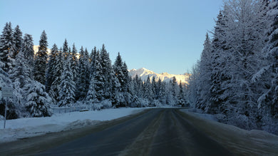 Scenic Winter Road Postcard